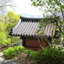 상주 복룡동 석조여래좌상 이미지