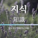 지식 이미지