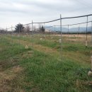 유목농장 이미지