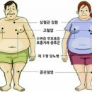 오혜숙 생활단식 남양주 천마지사
