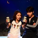 옥탑방 고양이 이미지