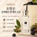 조말론 블랙베리 앤 베이 코롱 후기, 지속력부터 남녀공용 향까지 솔직 리뷰