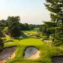 파인골프클럽 이미지