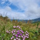 매봉목장 이미지