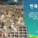 천북농장 이미지