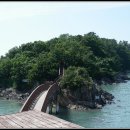 바다와소나무 이미지