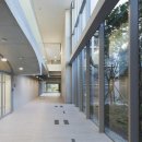 세종세무서 이미지