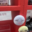 티즈나무 | 에이티즈 팝업 애니티즈 팝업 후기~~^^~*~