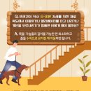 분당-241 이미지