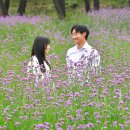 동화나라 이미지