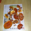 정구농장 이미지