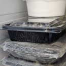 에스에프농장 이미지