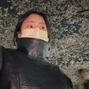 비원장 | 4월일상 벚꽃부터 목포 먹부림 코스 짜기 성공적