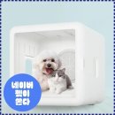 반하다펫 | [디클펫] 펫드라이룸 리얼후기! 강아지 털말리기, 이 가격 실화?! 내돈내산 강추템