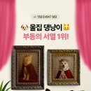 댕냥이키친 이미지