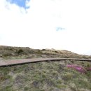 돈내코로 이미지