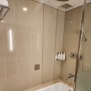 패밀리 피트니스 | 롯데시티 호텔 김포공항 슈페리얼 패밀리 에어포트뷰 + 헬스장 후기(라이프 피트니스)