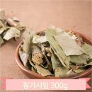 명초