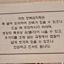 우린특허정보 | 숯불뼈구이 핫뼈감자탕 서현 맛집 방문 후기 특허받은 숯불뼈구이 맛과 가격
