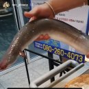 달주