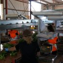 호주농장 이미지