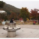 장흥대박협동조합 이미지