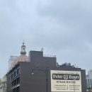 [NEW YORK]5일차🗽 비오는 뉴욕☔️ 피터루거스테이크🥩 브루클린 빈티지샵👚, 월드트레이드센터, 한식술집🍻