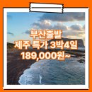 부산_특가_제주도_3박4일 #관광패키지 #석조 / 부산출발제주도패키지 여행사 / 부산공항