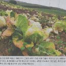 주식회사 주엘 이미지