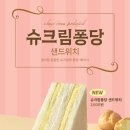 홍루이젠 이미지