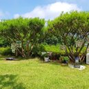 안전목장 이미지