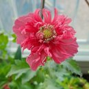 금강헬씨랜드 이미지