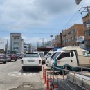 서부흑염소 이미지