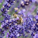 국민여가캠핑장 이미지