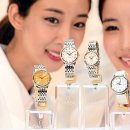 나비프라자 이미지