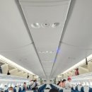 오포시스 | 호치민 경유 부산 도착 / 푸꾸옥 레이오버 / 푸꾸옥 공항 후기 / 호치민 국제선 공항 / 호치민 경유