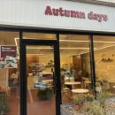 어텀데이즈(autumn days)