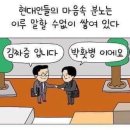 돼지카세차장 이미지