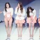 시크릿 Daum카페