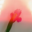 뷰티만수르 이미지