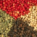 사오농장 이미지