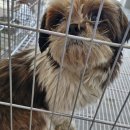 공단1로 이미지