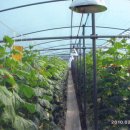 포두농장 이미지