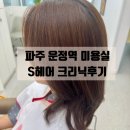 203-운정3-203 | 파주 와동동 미용실 | S헤어 파주운정점 하호니코 모발크리닉 후기