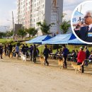 제1회 경북 영주, 풍기 인삼 축제 성공 기원 진도개 전람회를 마치고 이미지