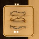 (주)러브플라워닷컴 | [Paris] 파리 쇼핑 선물 기념품 까르띠에 러브 팔찌 vs 디올 La Rose Bois de Rose 반지 팔찌 프랑스...