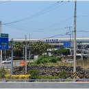 바른갈치 | 제주도 맛집 지도 바른갈치 솔직 후기