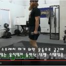 골반후방경사 치료운동 알렌 이미지