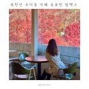 삼양로 | 북한산 우이동 카페 옥류헌릴렉스 | 2025년 단풍 막차 탑승 | 포토존 총정리