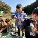 자연유아어린이집 이미지